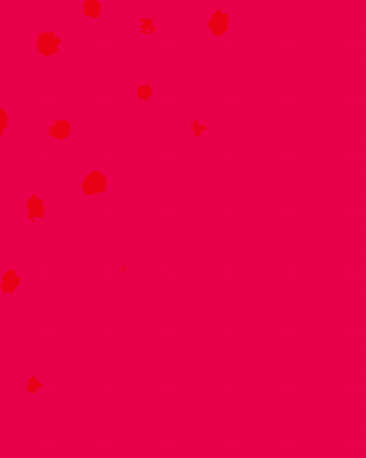 tarjeta-de-invitacion-lanzamiento-12