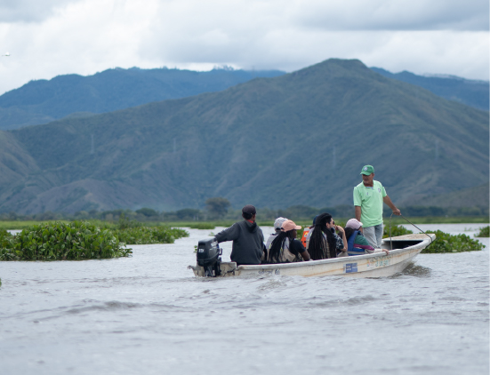 BoletinInternoNov_10