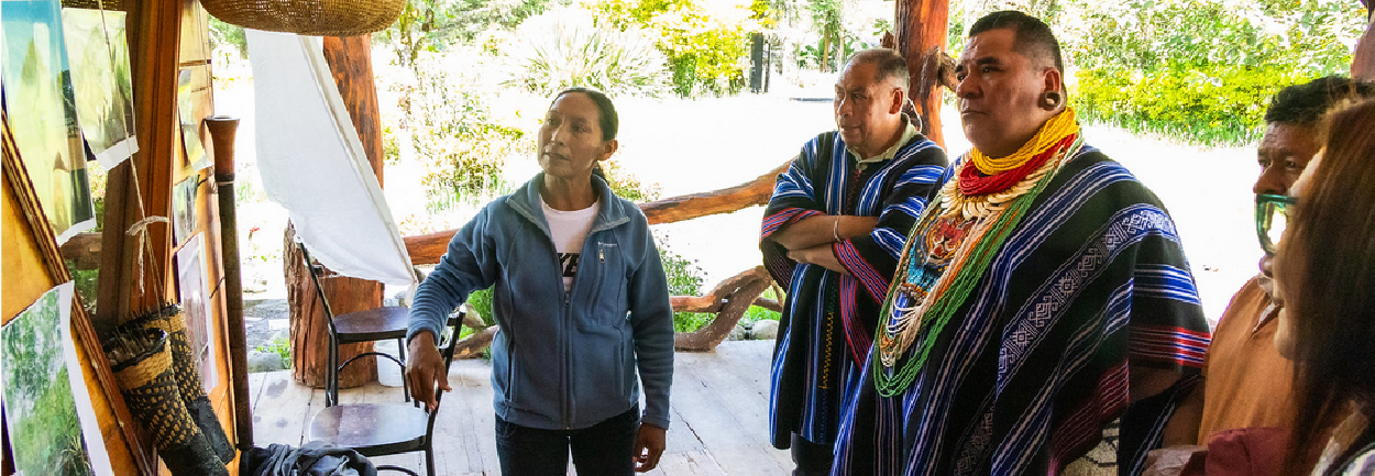 Conexiones05_CaroCuervo