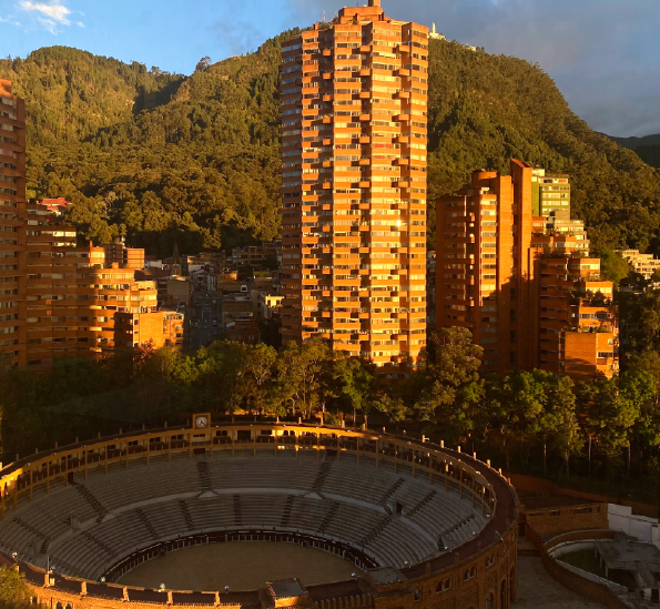 News_11_ROGELIO SALMONA