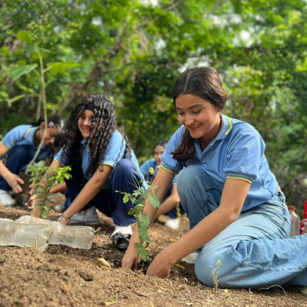 Cinco proyectos que usan CoCrea para proteger el medio ambiente