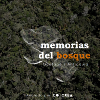Memorias del bosque: un nuevo enfoque para el turismo ecológico