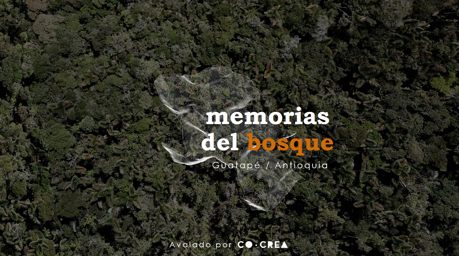 Memorias del bosque: un nuevo enfoque para el turismo ecológico